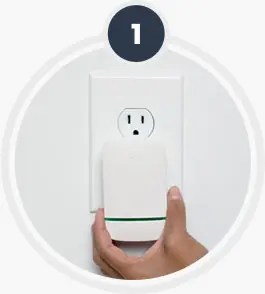 person plugging EcoWatt Pro